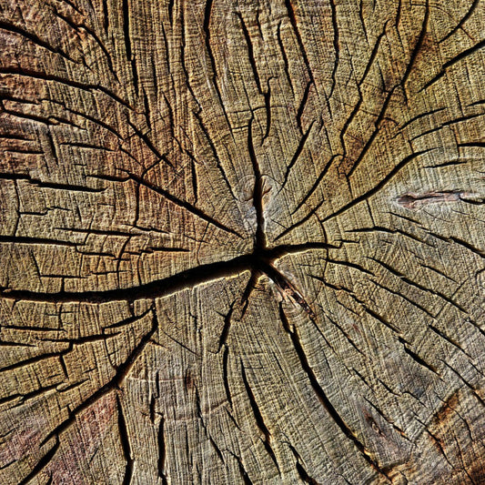 Why Wood Movement Matters (and How to Avoid Cracks and Warping)