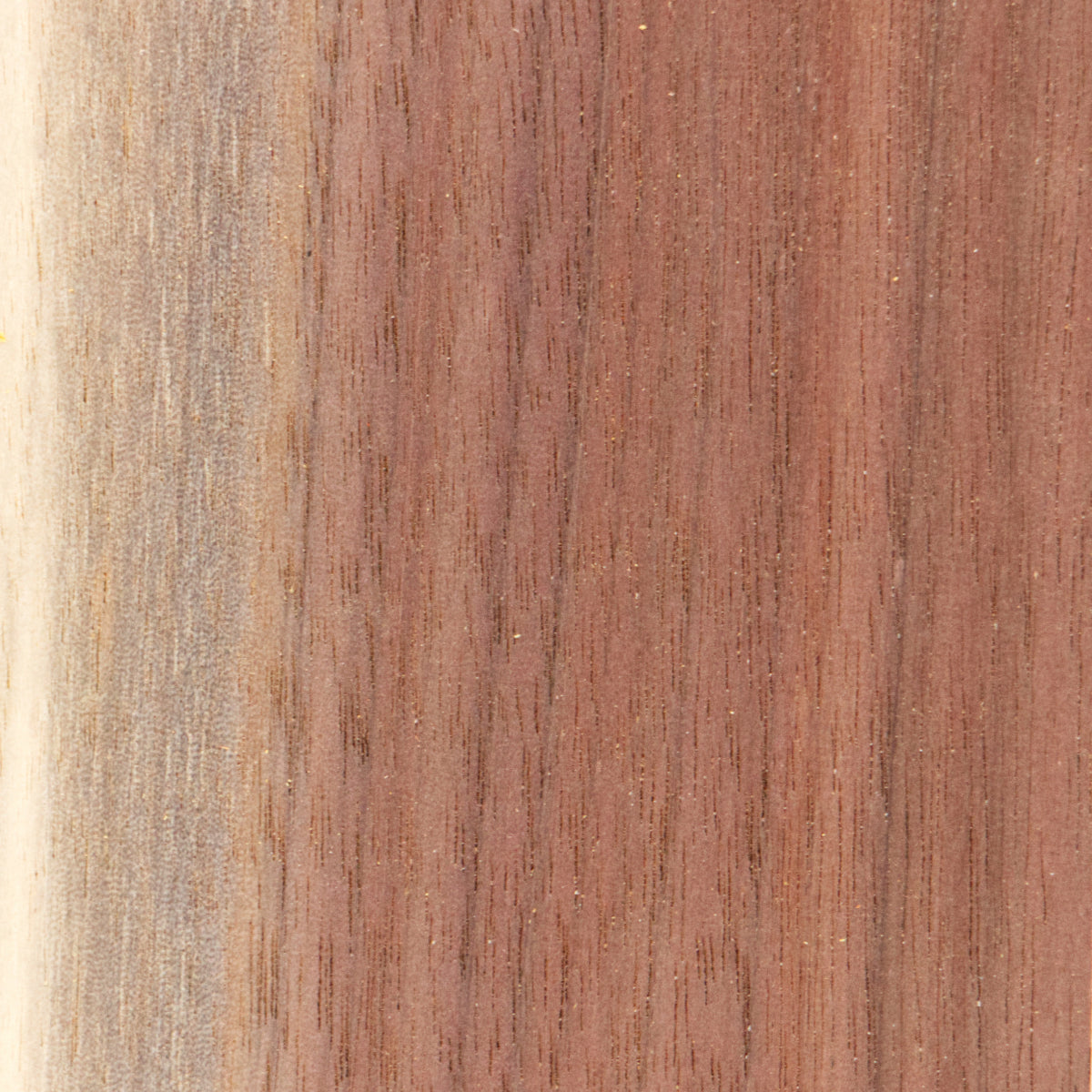 American Walnut