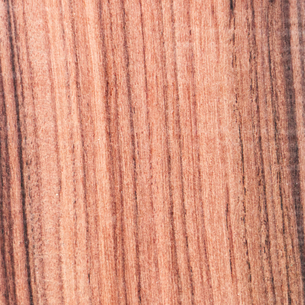 Bolivian Rosewood