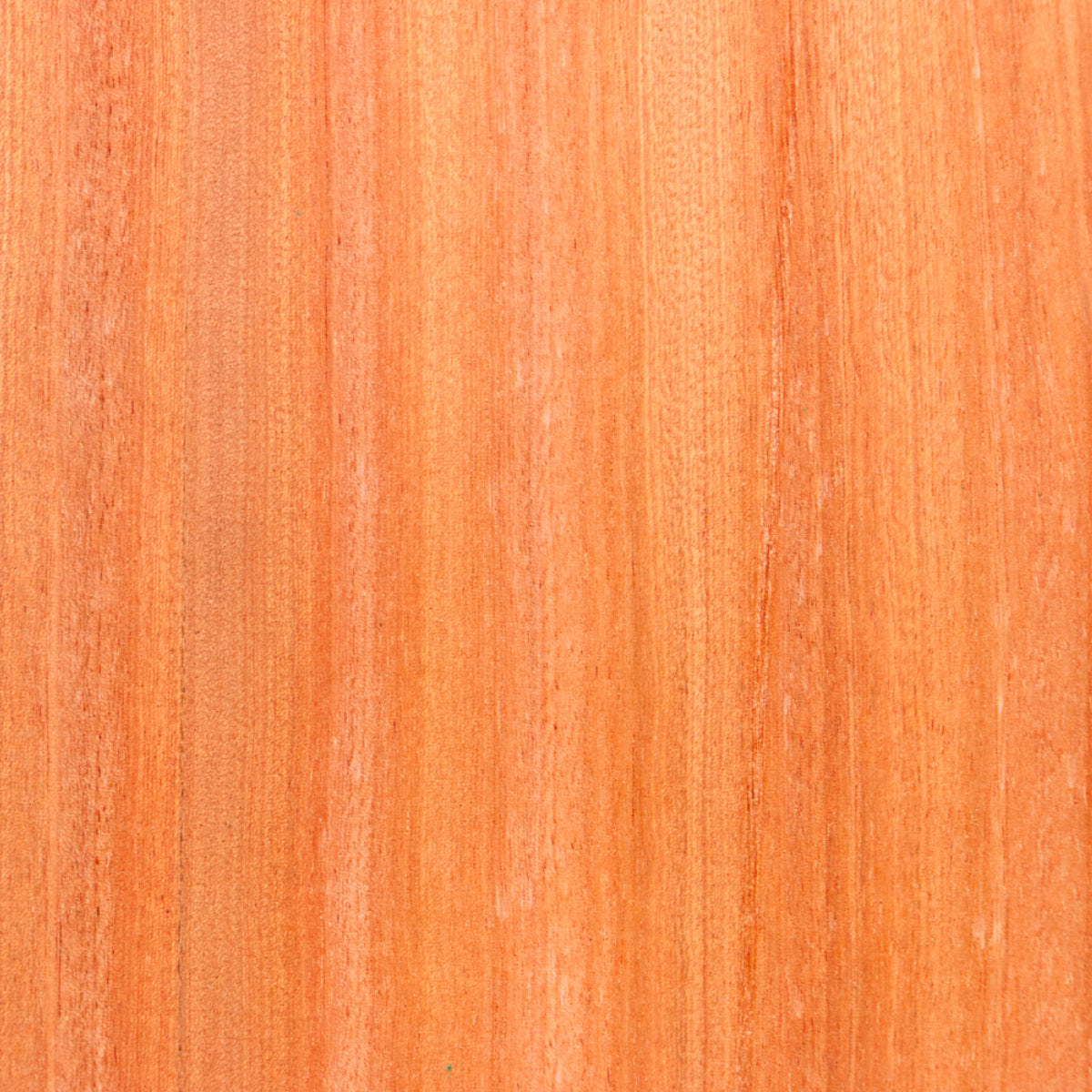 Sapele